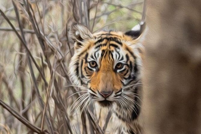 05 Days - Private Luxury Golden Triangle Tour with Ranthambore - Golden Triangle Meets Ranthambore: The Smart Shape of This 5 Days