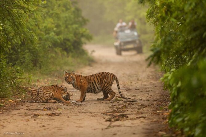 05 Days - Private Luxury Golden Triangle Tour with Ranthambore - Price and Logistics: What $395.40 Covers and Where to Watch Your Own Costs