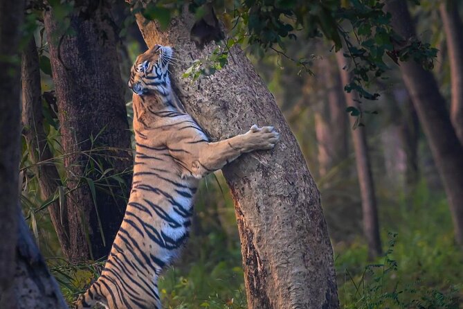 05 Days - Private Luxury Golden Triangle Tour with Ranthambore - Delhi in One Long Day: Qutub Minar, Lotus Temple, and Old Delhi Without the Headache
