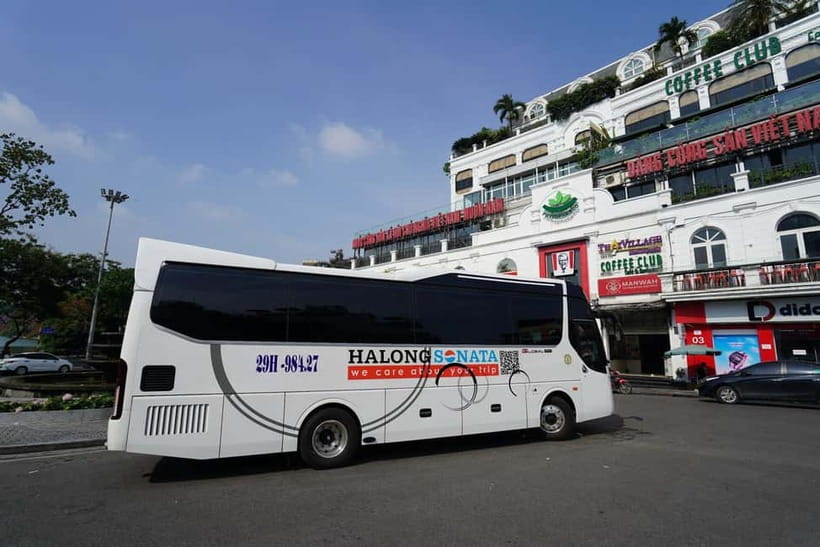 1 Day On 5-Star Halong Cruise With Highest Safety Equipments - Buffet lunch aboard: seafood, vegetarian, and vegan-friendly choices