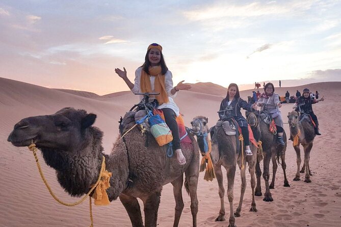 10 Days 9 Nights Luxury Tour of Morocco - Day 4: Cross the Middle Atlas and palm groves of Tafilalet