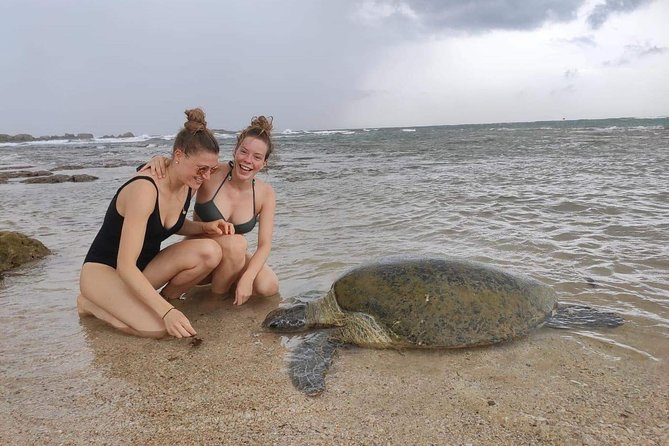 10 Days Tour in Sri Lanka (Hotels with Breakfast & Luxury Car) - Galle on the south coast: history and beach time in one package