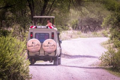 12 Days Best Of Kenya and Tanzania Safari - Luxury - Day 1 in Nairobi: a soft landing before the wild