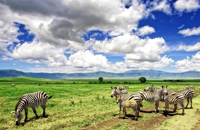 12 days Luxury Tanzania Honeymoon Safari and Zanzibar - Key Things That Make This Honeymoon Safari Feel Special