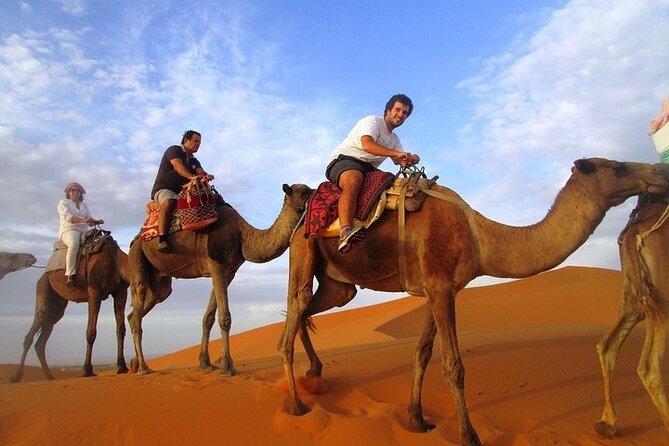 12 Days Private Luxury Sightseeing Tour in Morocco - Private Luxury Transport: Why the AC and a permanent guide matter