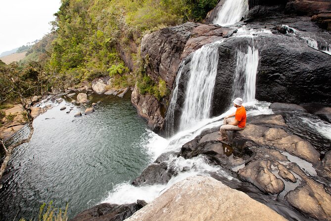 14 Days Tour in Sri Lanka - Fortnight Expedition with Luxury Hotels - Landing in Negombo: fishing life, temple stops, and an easy first night