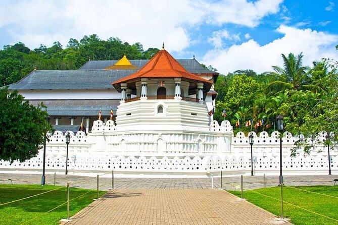 14 Days Tour in Sri Lanka - Fortnight Expedition with Luxury Hotels - Horton Plains National Park: trekking with a wildlife-and-birds mood