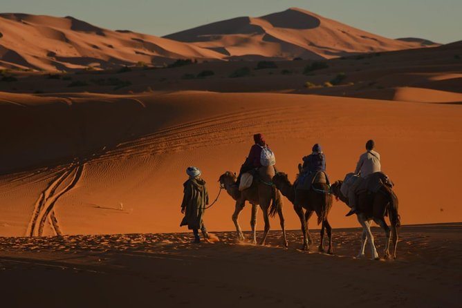 2 Day Desert Tour from Fez with Camel ride Overnight luxury Camp - Key highlights you’ll feel right away