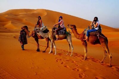 2 Day Luxury Desert Tour from Fes to Fes or Marrakech - Ifrane and the cedar forests: cool air, chalet streets, and macaques