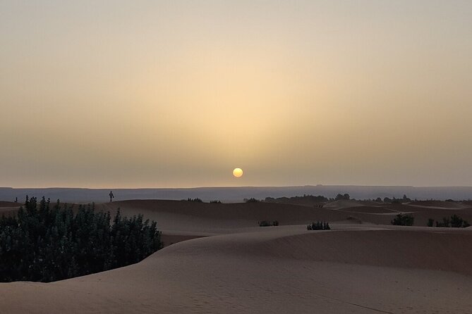 2 Day Luxury Desert Tour from Fes to Fes or Marrakech - Desert camp night: luxury comforts with a very basic reality check