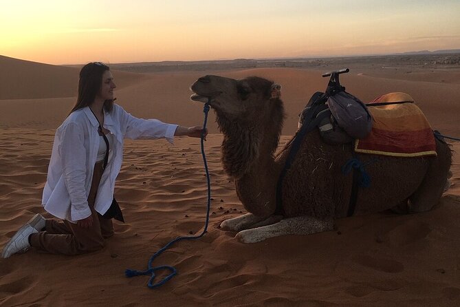 2 Day Luxury Desert Tour from Fes to Fes or Marrakech - Sunrise in the Sahara: the best payoff, if you manage your sleep