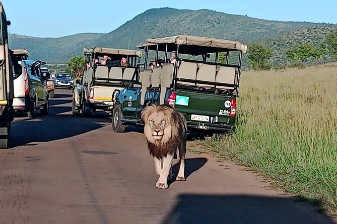 2 Day Pilanesberg ultimate Luxury Safari - Who should book this 2-day Pilanesberg luxury safari?