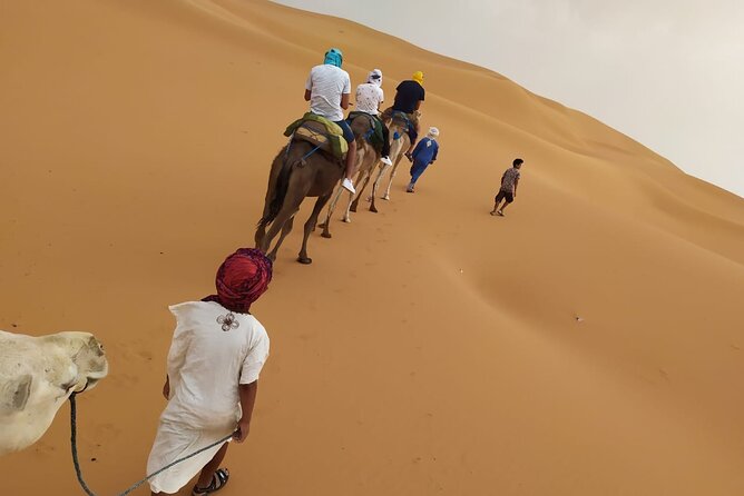 2-Days Desert Tours from Fes with Overnight in Luxury Camp - The Middle Atlas setup: Ifrane and Azrou cedar forest (the monkey break)