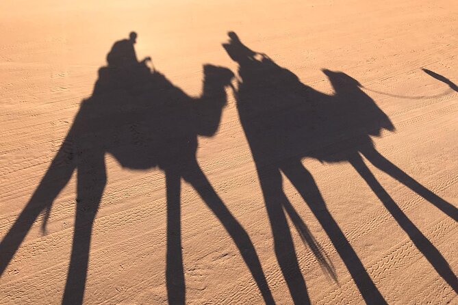 2-Days Desert Tours from Fes with Overnight in Luxury Camp - Day 2 early: sunrise dunes near the Algerian border (then back to Merzouga)