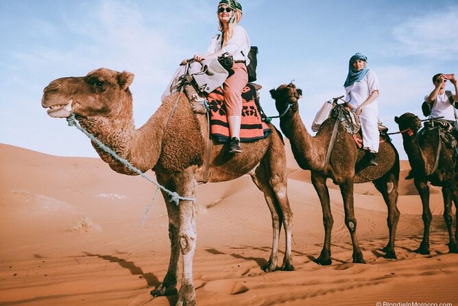 2 days luxury desert trip [fes to fes or marakech] - What you’re really buying on this 2-day Fes to desert trip