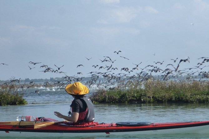 2 Hour Night Kayak Tour in Venice, premium experience with sunset - Why kayaking at sunset changes how you see Venice