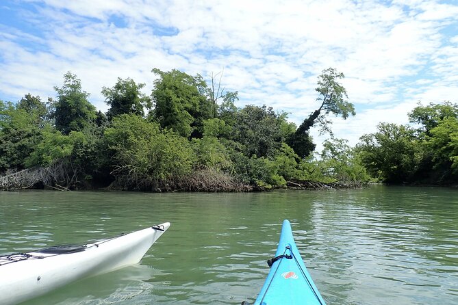 2 Hour Night Kayak Tour in Venice, premium experience with sunset - Sunset lighting and the night-water feel