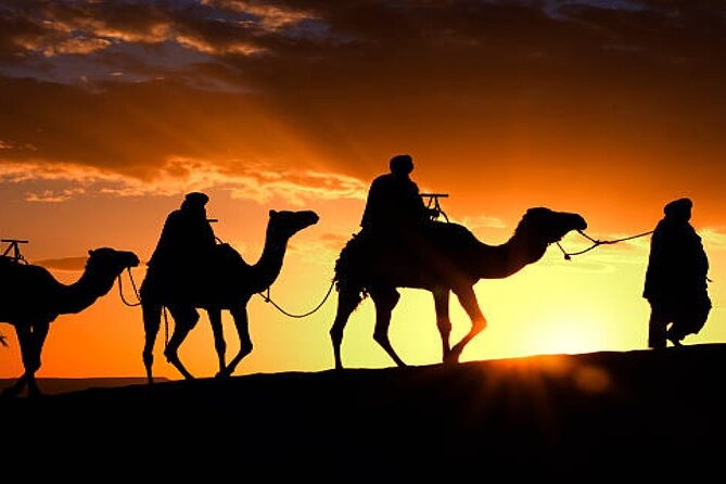 2 Nights in Luxury Camp and Camel Trekking in Merzouga Desert - Key highlights that make this Merzouga trip worth it