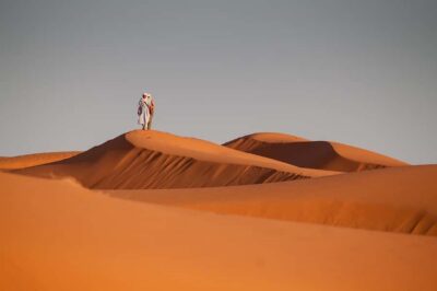 2Days Desert Tour From Fez: Round-Trip with Luxury Camp stay - Ifrane, cedar forests, and Barbary monkeys: the first culture hit