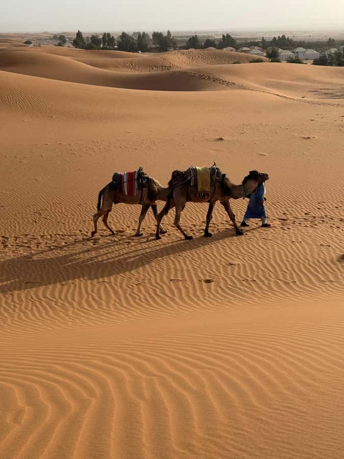 3-Day luxury Adventure: Marrakech to Merzouga incl.Quad/show - FAQ