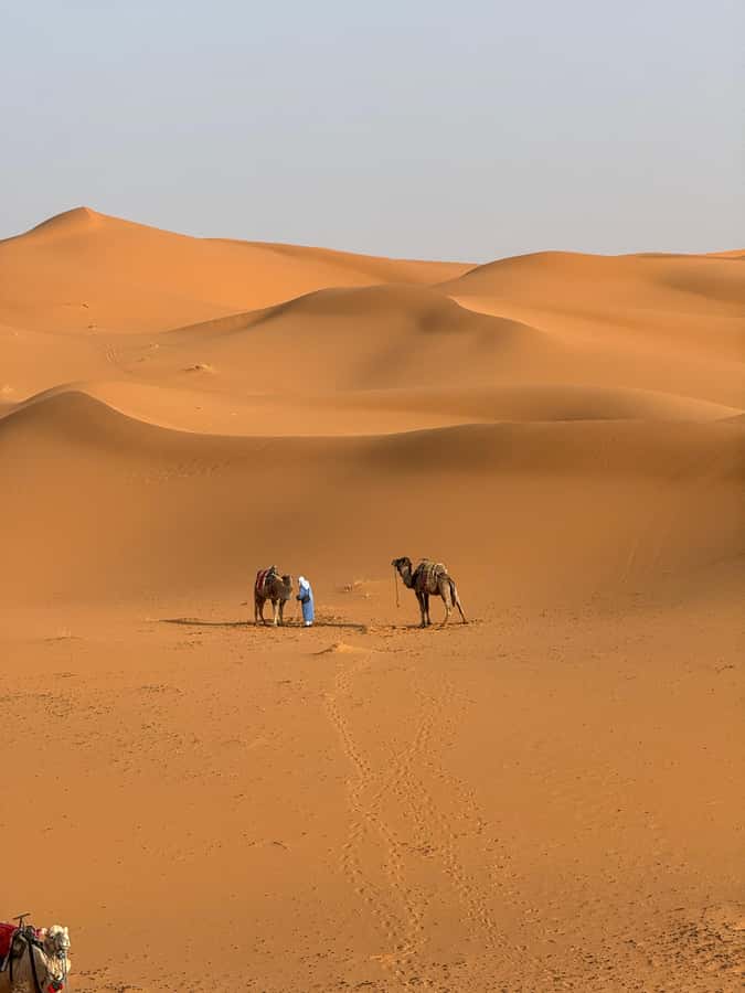 3-Day luxury Adventure: Marrakech to Merzouga incl.Quad/show - Ait Ben Haddou to Merzouga: Todra Gorge and the moment the dunes appear