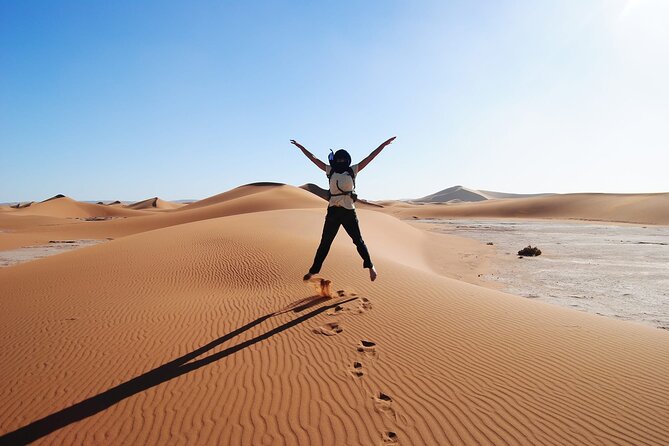 3-Day Luxury/Budget Desert Tour to Marrakech via Merouga from Fez - From Fez to Ifrane and Azrou Cedar Forest: monkeys and a French-made pause