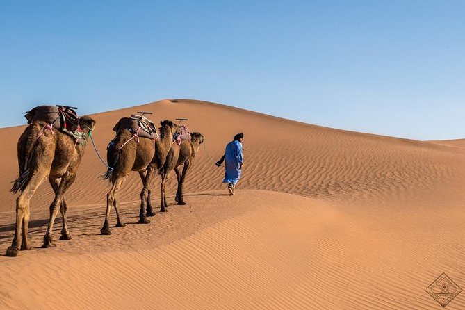 3 Day Luxury Tour: Sahara desert & luxury camp from Marrakech - Price and value: how $133.76 stacks up for what you get