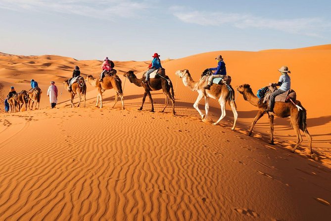 3 Day Luxury Tour: Sahara desert & luxury camp from Marrakech - Overnight in the Dades area at Kasbah de Tessidrine: good location, basic comfort