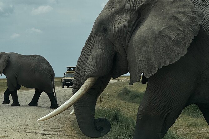 3 Day Private Tour in Maasai Mara with Lodge Luxury with Jeep - Key highlights you’ll feel on the ground