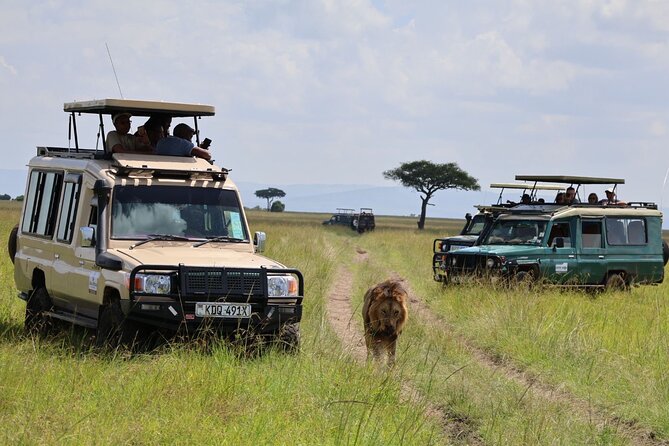3 Day Private Tour in Maasai Mara with Lodge Luxury with Jeep - Day 2 sunrise-to-Mara River: the Big Five day with a 10-hour drive