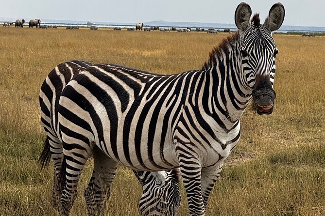 3 Day Private Tour in Maasai Mara with Lodge Luxury with Jeep - Day 3 Maasai village visit plus the drive back to Nairobi