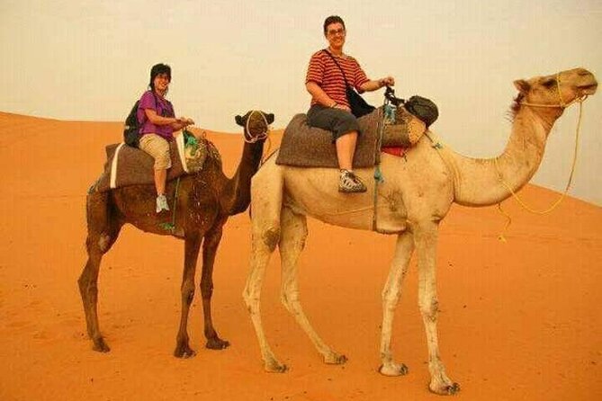 3 Days Luxury Desert Tour From Fes To Marrakech via Merzouga - Ait Ben Haddou and Ouarzazate: the film country stop you’ll remember
