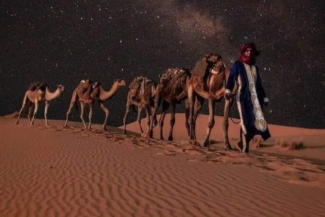 3 Days Luxury Desert Tour From Fes To Marrakech via Merzouga - High Atlas pass to Marrakech: arriving with energy intact