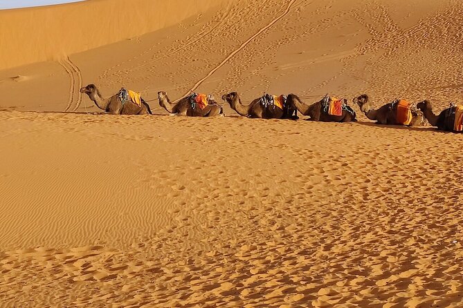 3 Days Luxury Desert Tour From Fes To Marrakech via Merzouga - Price and value: what $221 covers (and what it doesn’t)