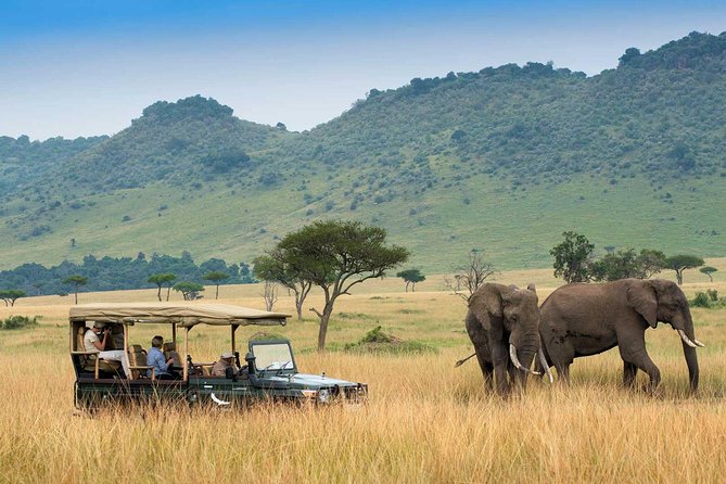 3 days Maasai Mara Luxury Safari - Day 2 flexibility: the best way to choose your pace