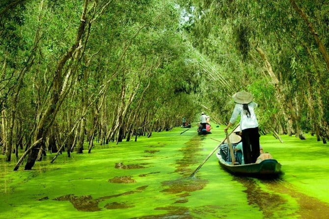 3 Days Mekong Delta Luxury Group Tour from Ho Chi Minh City - Price and logistics: is $245 a fair value for 3 days?