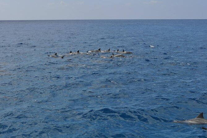 3-Hour Small-Group Maalaea Luxury Snorkel Cruise Tour - Snorkeling support that helps you relax instead of performing