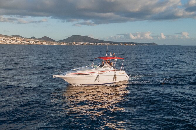 3 Hour VIP Private Luxury Boat Charter in Tenerife - On-Board Comfort and the Small-Group Advantage