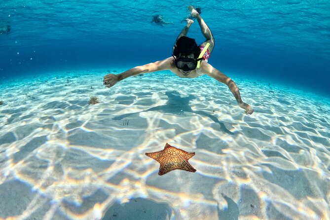 4 Hour Cozumel Turtle Sanctuary Experience on a Luxury Catamarán - Turtle Sanctuary Snorkeling: Green Turtles in Real Water