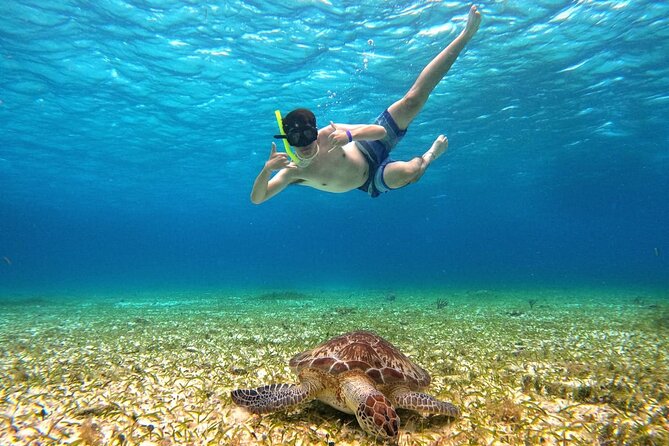 4 Hour Cozumel Turtle Sanctuary Experience on a Luxury Catamarán - Cielito: The Shallow Sandbank Where the Day Slows Down