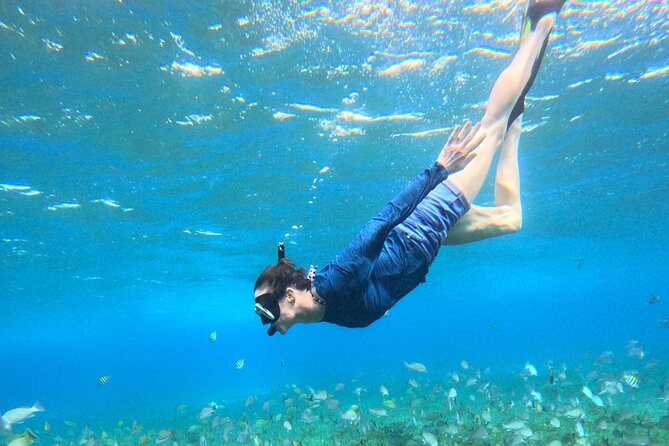 4 Hour Cozumel Turtle Sanctuary Experience on a Luxury Catamarán - Food, Alcohol, and Why Reef Rules Matter
