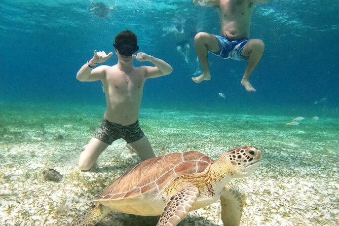 4 Hour Cozumel Turtle Sanctuary Experience on a Luxury Catamarán - Snorkeling Comfort Checklist (Including the Boat Bathroom Reality)