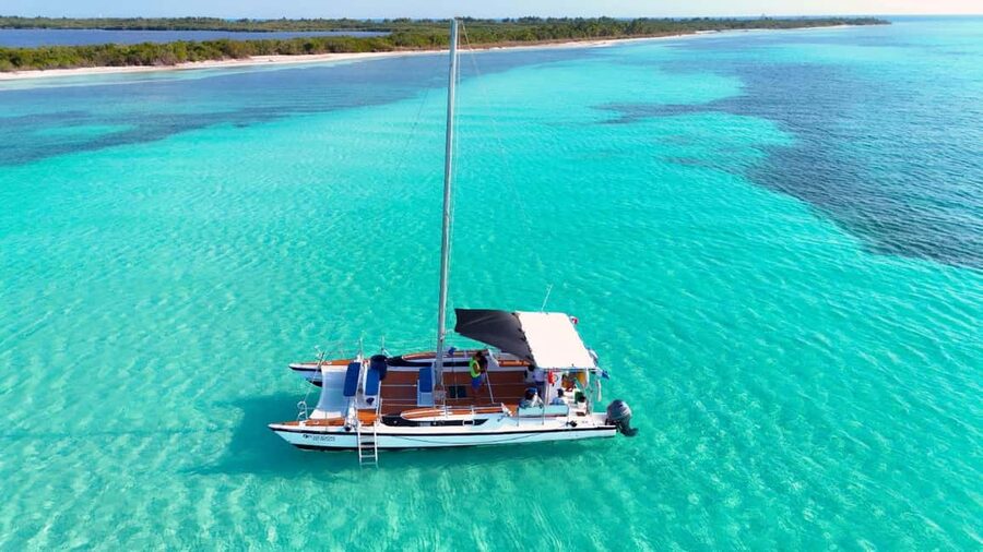 4 Hour Turtle Sanctuary Experience on a Luxury Catamarán - Key points you’ll feel right away