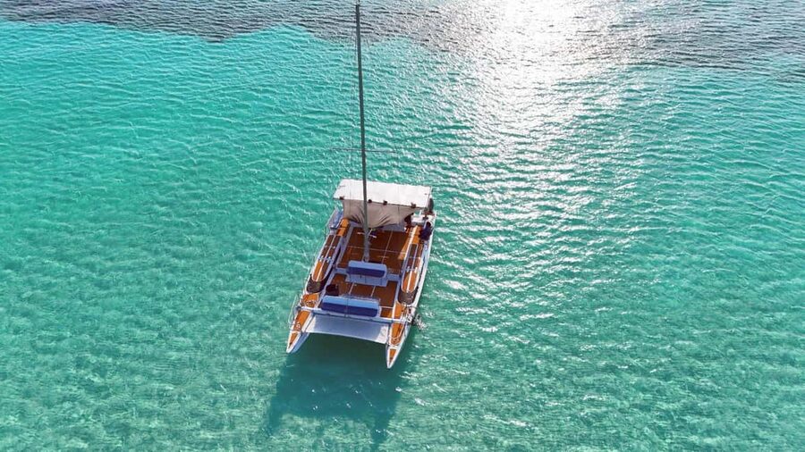 4 Hour Turtle Sanctuary Experience on a Luxury Catamarán - Luxury Catamaran Comfort While You Chase Cozumel Reefs