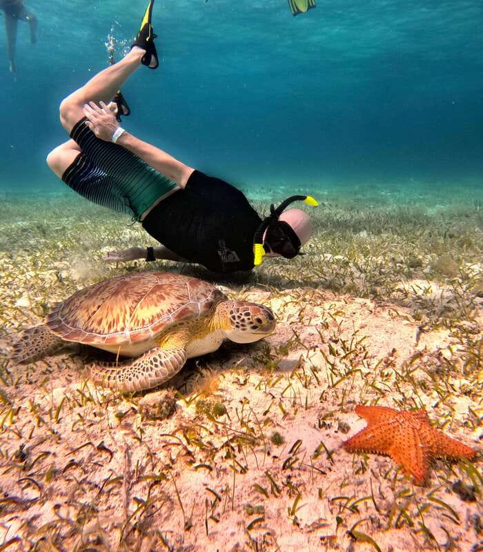4 Hour Turtle Sanctuary Experience on a Luxury Catamarán - Cielito Little Heaven Sandbank and Sunset Snacks