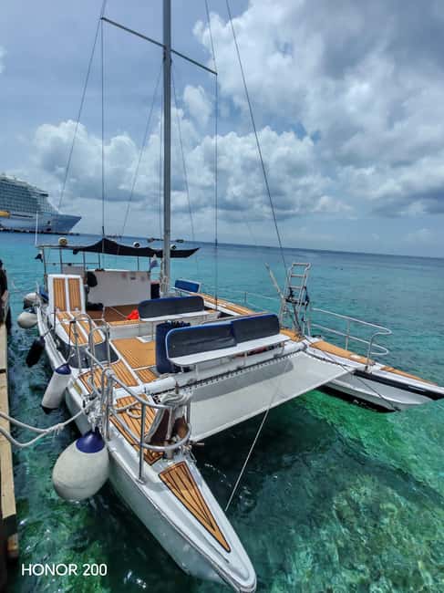 4 Hour Turtle Sanctuary Experience on a Luxury Catamarán - Small Things That Make a Big Difference