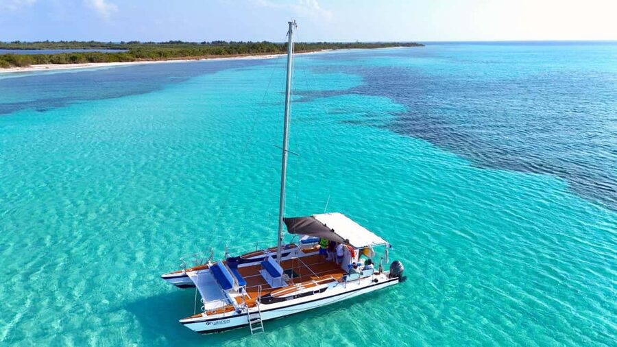 4 Hour Turtle Sanctuary Experience on a Luxury Catamarán - Turtle Sanctuary Snorkeling for Calm Green Turtles