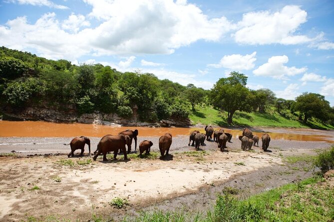5 Days Best of Tanzania Luxury Safari Northern Circuit - Key safari takeaways before you go