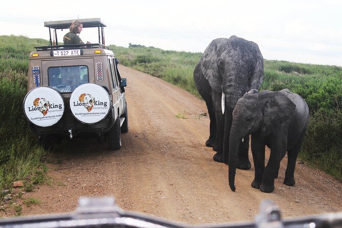 5 Days Best of Tanzania Luxury Safari Northern Circuit - Comfort and guide style: where luxury shows up