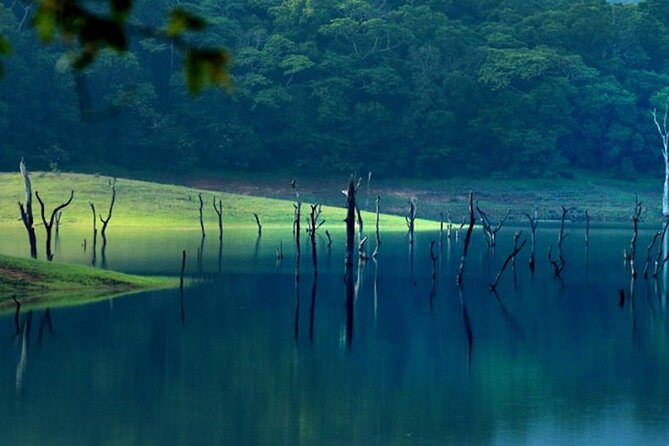 5 Days Luxury Kerala Tour with Houseboat Experience - From Kochi to Munnar: waterfalls, tea estates, and the relaxing first night